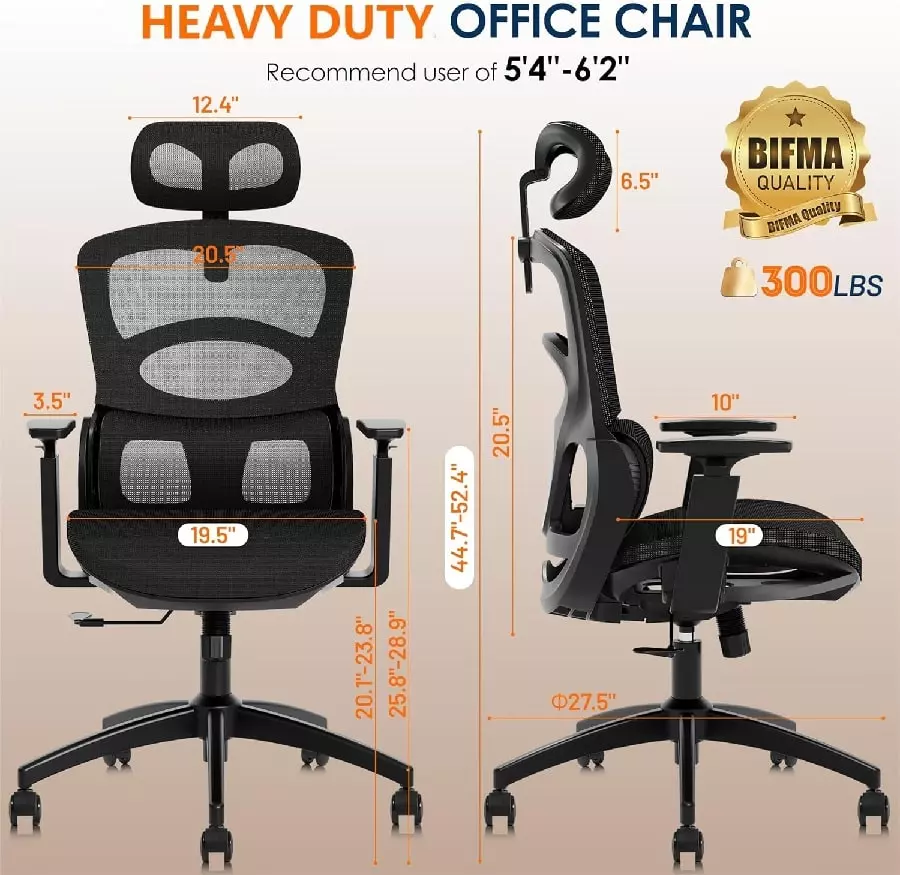 Clatina Ergonomic Chair